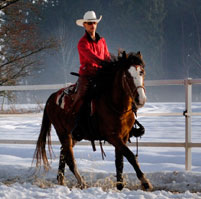 photo_verkaufspferde_large_1