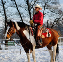 photo_verkaufspferde_large_1