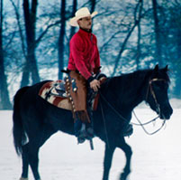 photo_verkaufspferde_large_1