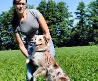 Unsere Australian Shepherds