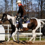 Bella Galopp