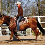 Ira Galopp