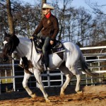 Latino Galopp