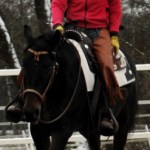 Linus Galopp